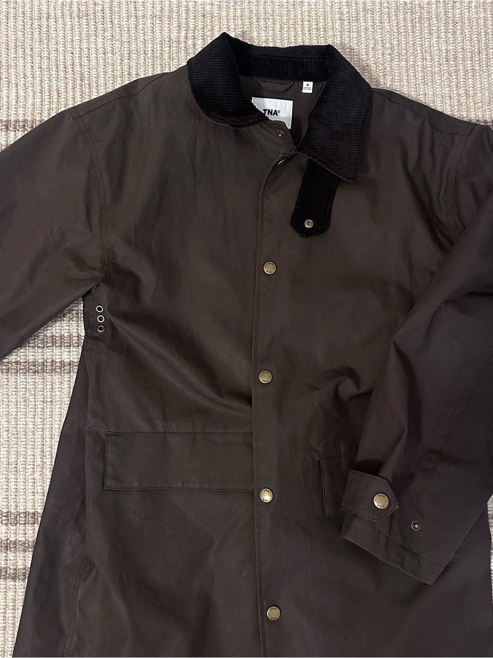 Aritzia Raincoat